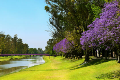 Hoy VIBRA el amor en el Arroyo Pergamino