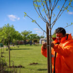 Barrios más lindos: avanza la reforestación de plazas