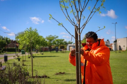 Barrios más lindos: avanza la reforestación de plazas