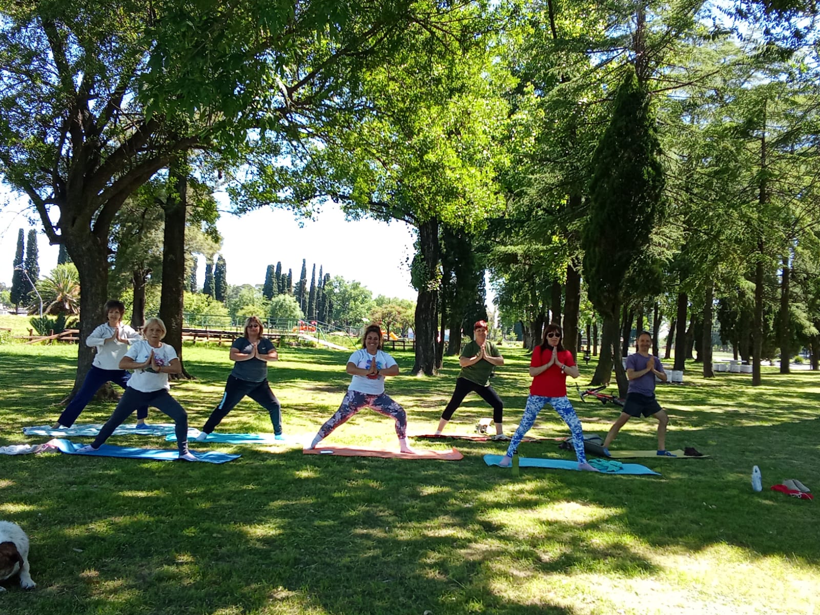 Maravillosa clase de yoga al aire libre