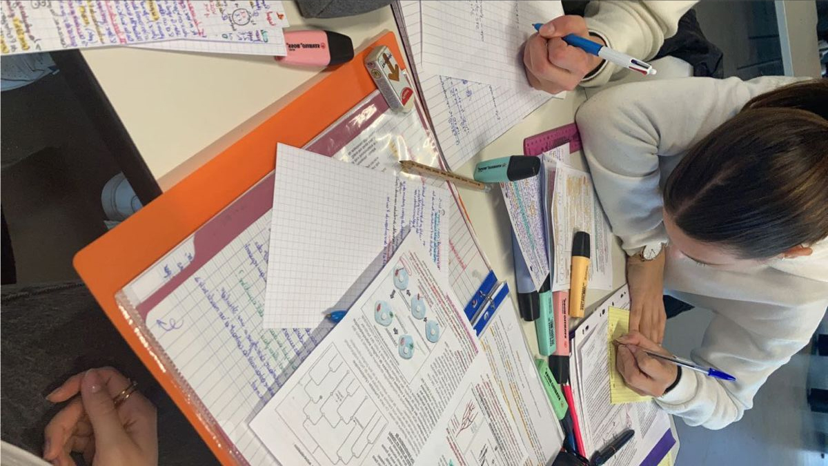 El 24 de noviembre comienza la inscripción para las Becas Educativas Municipales