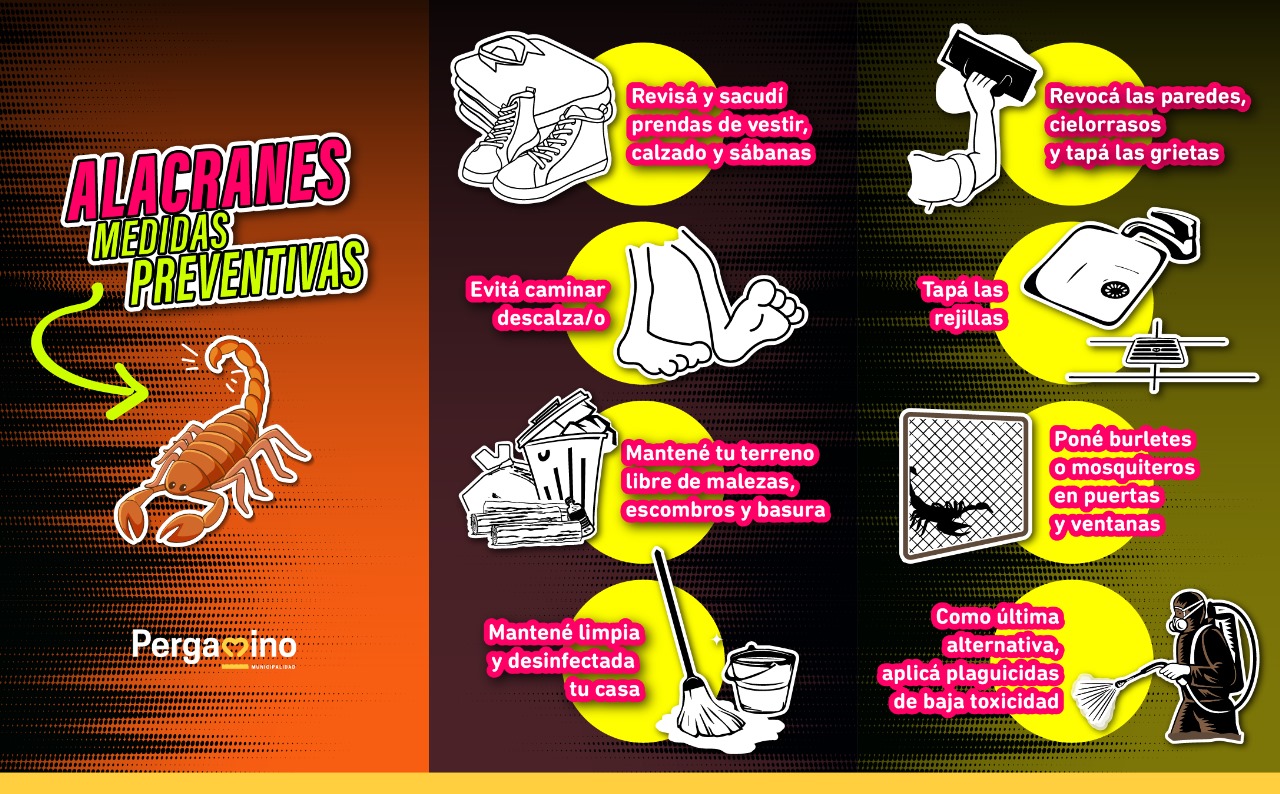 Prevención y cuidados ante la presencia de alacranes