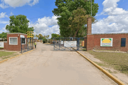 Segunda opción para la gestión de residuos voluminosos domiciliarios