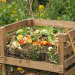 Taller de compostaje: aprender a transformar los residuos orgánicos en abono natural