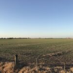 Alivio Fiscal: Hasta un 30% de descuento en la Tasa de Red Vial