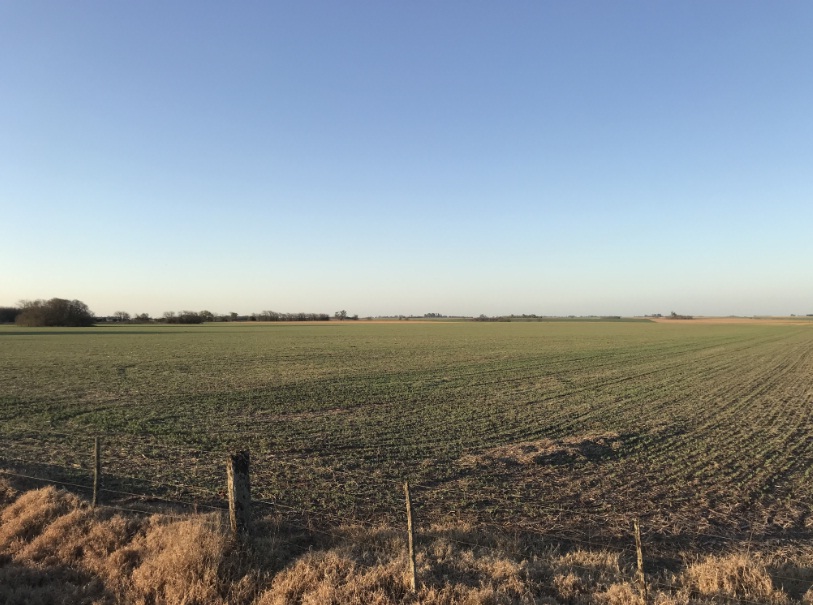 Alivio Fiscal: Hasta un 30% de descuento en la Tasa de Red Vial