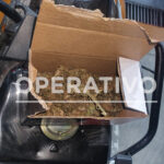 Detuvieron a dos sujetos por tenencia de estupefacientes en un operativo de tránsito