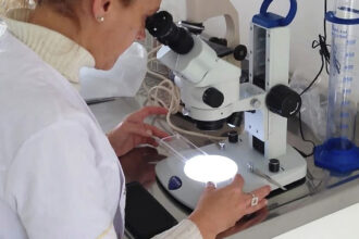 Bromatología fortalece los controles en las carnicerías de Pergamino