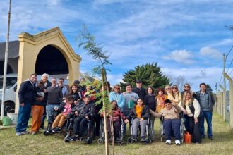 Forestación colaborativa: 24 nuevos árboles para dos instituciones de la ciudad