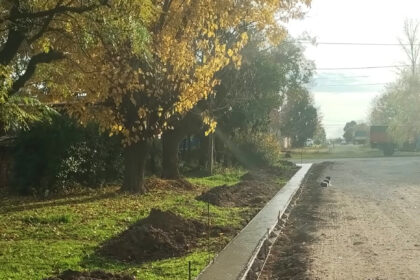 Comenzaron las obras de cordón cuneta en La Violeta