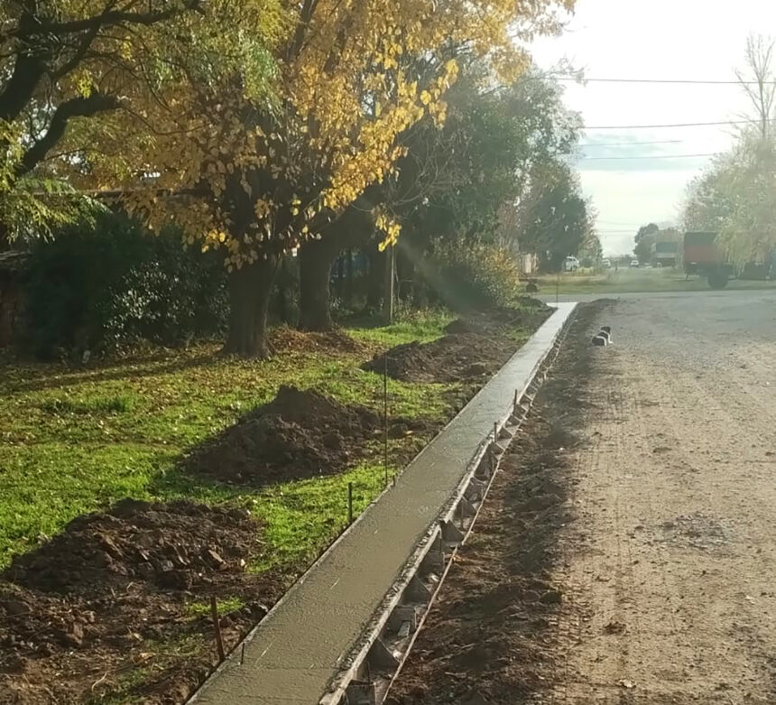 Comenzaron las obras de cordón cuneta en La Violeta