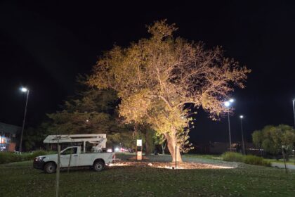 La Municipalidad continúa ampliando y renovando el alumbrado LED en plazas y espacios públicos
