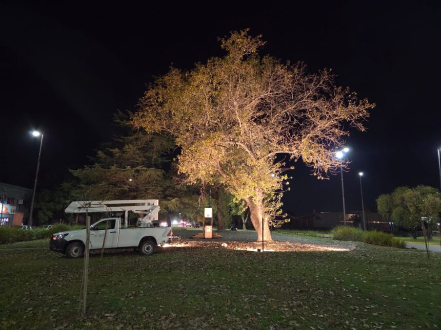 La Municipalidad continúa ampliando y renovando el alumbrado LED en plazas y espacios públicos La Municipalidad continúa ampliando y renovando el alumbrado LED en plazas y espacios públicos