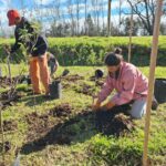 Día del Árbol: plantación colaborativa en Barrio Aeroclub Día del Árbol: plantación colaborativa en Barrio Aeroclub