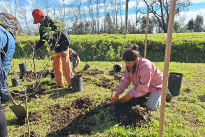 Día del Árbol: plantación colaborativa en Barrio Aeroclub Día del Árbol: plantación colaborativa en Barrio Aeroclub