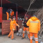 Comenzó la plantación de árboles en las veredas de vecinos que solicitaron un ejemplar